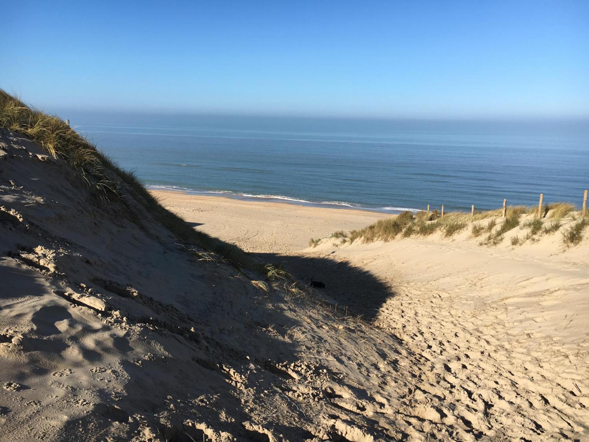 Eco Lodge Duin- Unieke Locatie -Strand, Duin En Nabij Cultuursteden Castricum Exterior foto